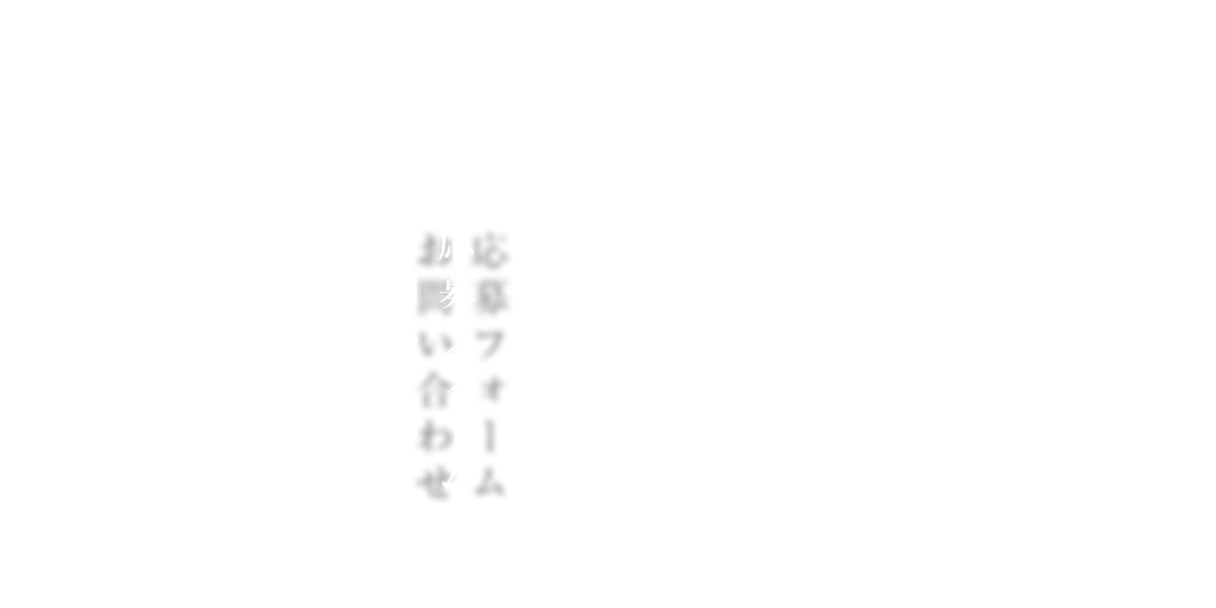 応募フォーム・お問い合わせ